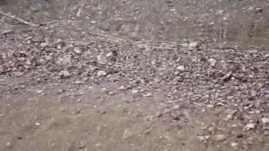dalgalar deniz kıyısı