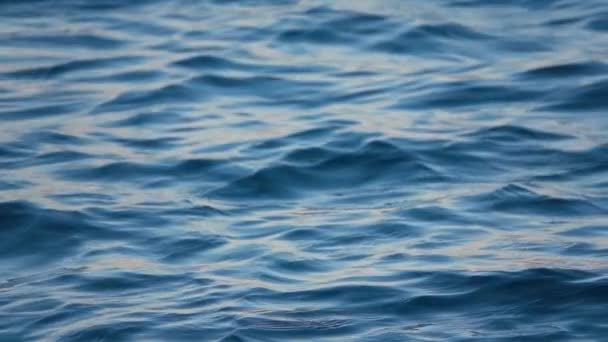 Primo Piano Della Superficie Blu Disturbata Dell Acqua Dell Oceano — Video Stock