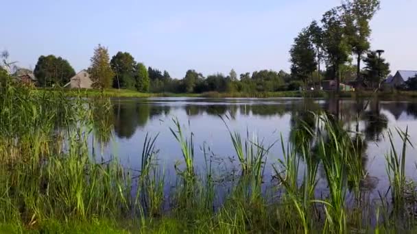 Häuser Liegen Rund Den See Mit Schilf — Stockvideo