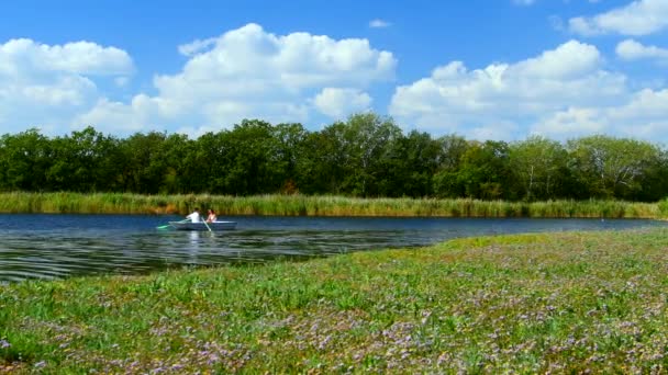 Couple Aimant Nager Bateau — Video