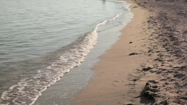Θάλασσα Αμμώδη Παραλία Γαλήνια Ειδυλλιακή Σκηνή — Αρχείο Βίντεο