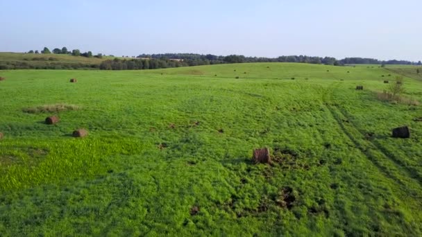 Small Swamp Middle Meadows — Stock Video