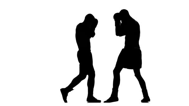 Boxeurs Musclés Sont Formés Pour Frapper Adversaire — Video