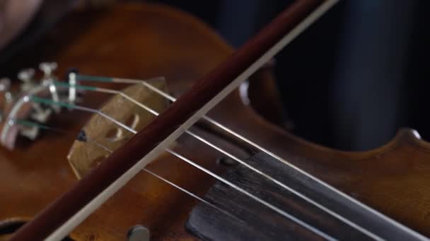 茶色のバイオリンの女の子の指で演奏し — ストック動画