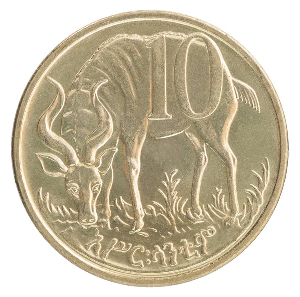 Ethiopian cents coin — Stock Photo, Image