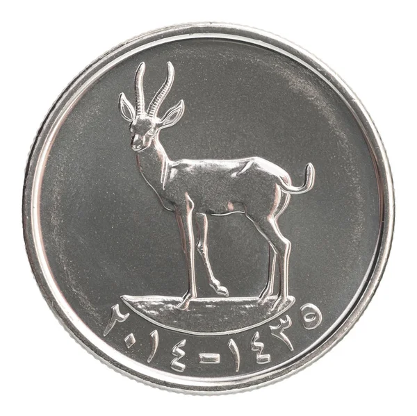 Fils UAE coin — Stock Photo, Image