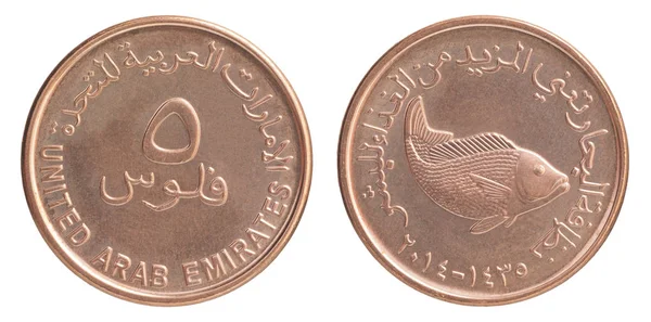 Fils UAE coin — Zdjęcie stockowe