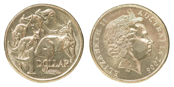 一枚澳元硬币 图案为五只袋鼠 背景为白色 图库图片