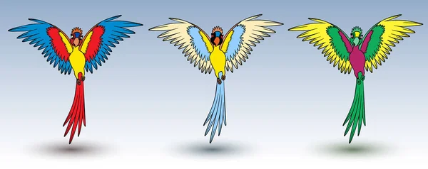 Set di pappagalli multicolori su sfondo chiaro. — Vettoriale Stock