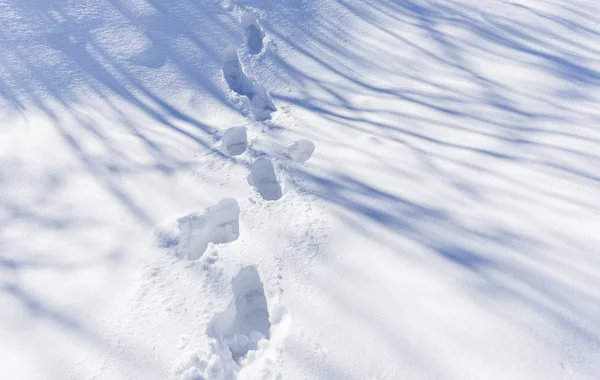 Stopy nohou na čerstvý sníh — Stock fotografie