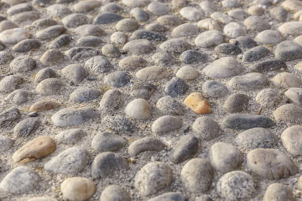 A close-up of a path formed by small pebbles — Stock Photo, Image