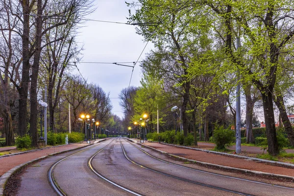 Tram lines in Florence at sunrise — Stock Photo, Image