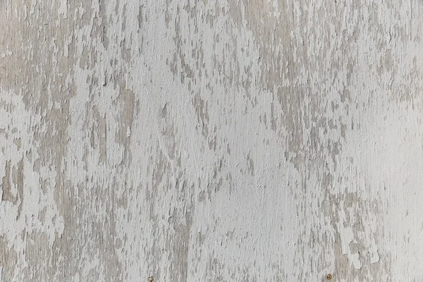 Old peeling white paint on a wooden board — Stock Photo, Image