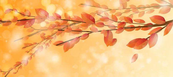 Realistic autumn cards with leaves and branches — Stock Photo, Image