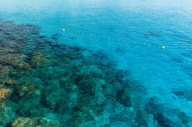Nissi beach güneşli havalarda. Ayia Napa.Cyprus