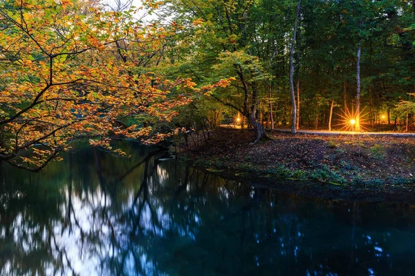 Herbst im Nabran-Wald — Stockfoto