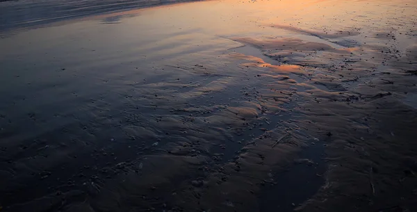 Texture de plage de sable humide — Photo