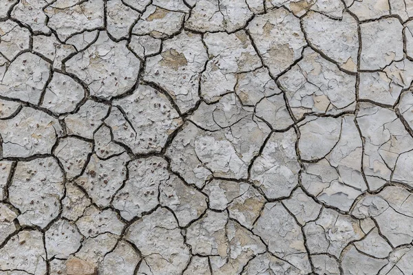 Texture of dried mud from mud volcanoes