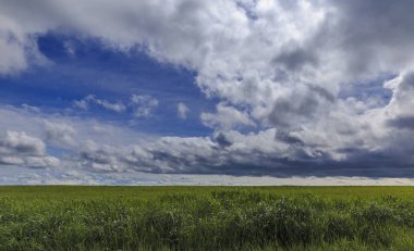 İsyan taze bahar çimen ve bulutlar