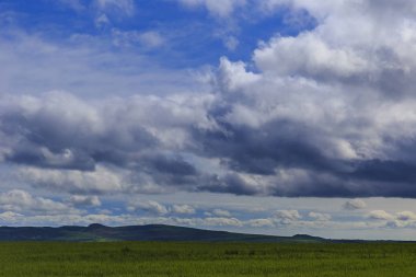 İsyan taze bahar çimen ve bulutlar
