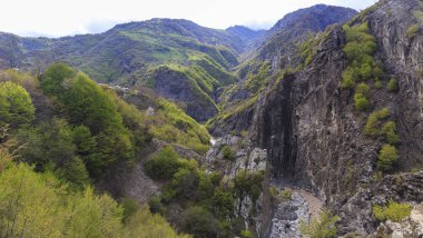 Bir dağ gorge bahar