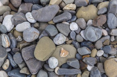 Kıyıda nehir taşları