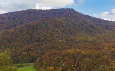 Dağlardaki ormanın sonbahar renkleri
