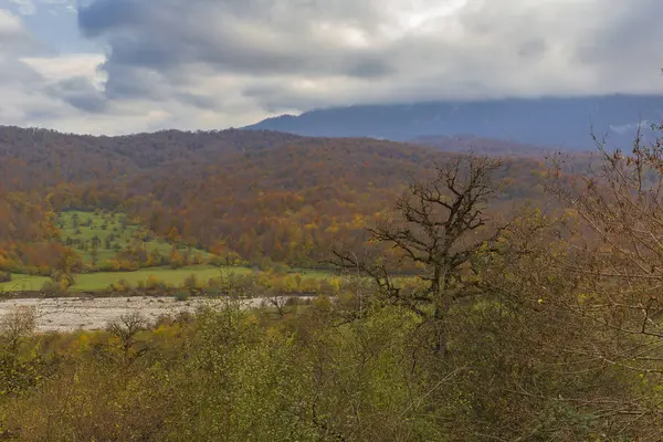Cama de río de montaña en otoño — Foto de Stock