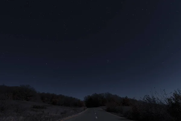 Noche Bosque otoñal bajo la luz de la luna y el cielo estrellado — Foto de Stock