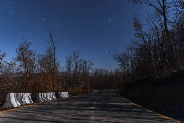 Noche Bosque otoñal bajo la luz de la luna y el cielo estrellado — Foto de Stock