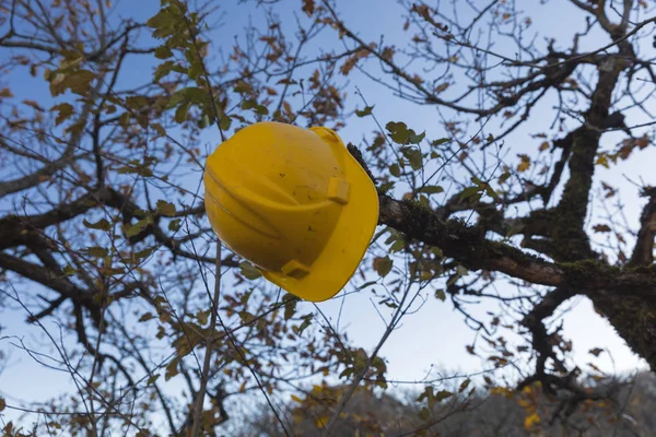 Yellow work helmet hanging on a tree