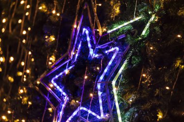 Noel ağacında parlayan bir Noel yıldızı