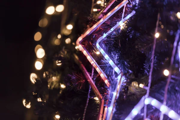 Estrella luminosa de Navidad en el árbol de Navidad —  Fotos de Stock
