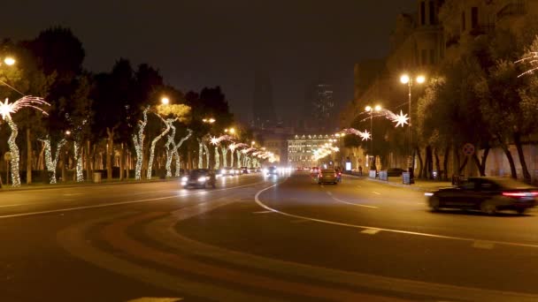 阿塞拜疆巴库 2019年12月28日 巴库大道树木上的新年花环 — 图库视频影像