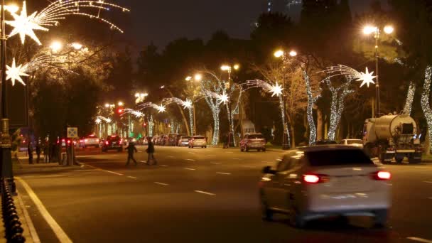 Baku Azerbaijan Dezember 2019 Neujahrsgirlanden Bäumen Auf Dem Baku Boulevard — Stockvideo