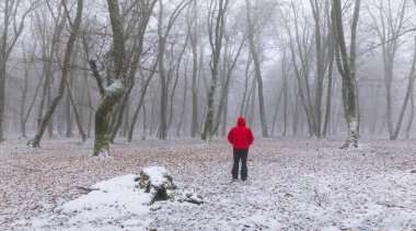 Sis ormanda kar kaplı