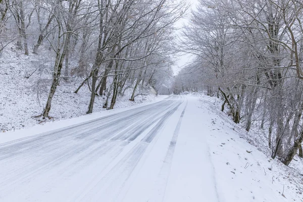 La route dans les montagnes au milieu de la forêt couverte de neige — Photo