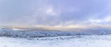 Bulutlu havada donmuş ağaçlardan ve dağlardan oluşan bir manzara.
