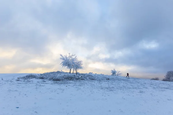 Photographe prend des photos d'arbres gelés — Photo