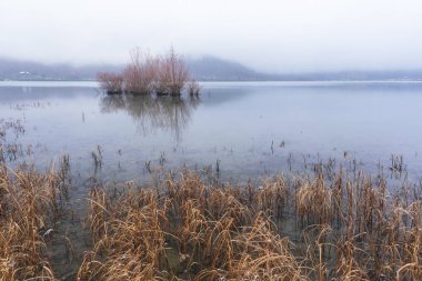 Soğuk havada gölde büyüyen ağaçlar.