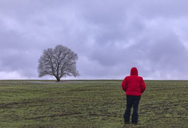 Yeşil alanda donmuş ağaç