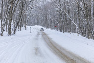 Karlı bir yolda ormanın içinden geçen bir araba.
