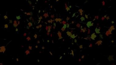 4k canlandırılmış yaprak arkaplanı