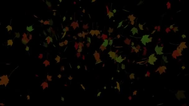 Анимационный Фон Падения Листьев — стоковое видео