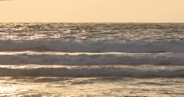 Σέρφερ Επιπλέουν Στα Κύματα Της Μεσογείου — Αρχείο Βίντεο