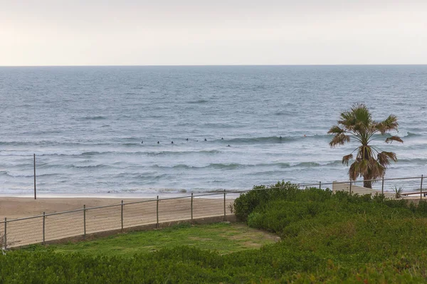 Herzliya Srail Mart 2020 Sörfçüler Akdeniz Bir Dalga Bekliyor — Stok fotoğraf