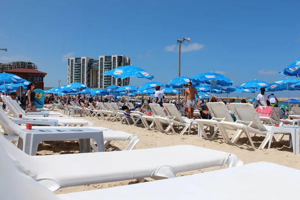 Herzliya Izrael Sierpnia 2017 Parasole Leżaki Plaży — Zdjęcie stockowe