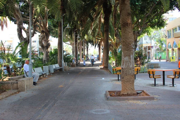 Herzliya, İsrail - 05 Ağustos 2017: Yazın İsrail 'in Herzliya kentindeki sokaklar