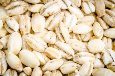 kedi, kırmızı ve mavi bir arka plan üzerine beyaz