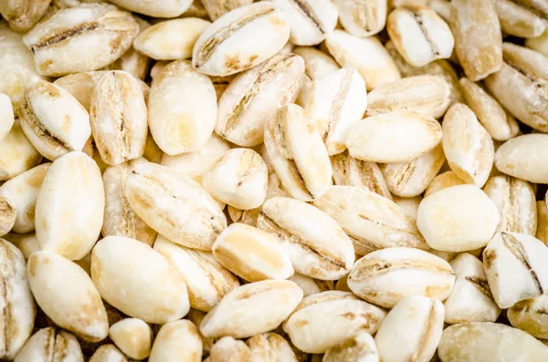 kedi, kırmızı ve mavi bir arka plan üzerine beyaz